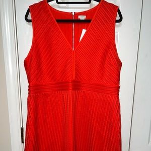 Beautiful coral/orange knee length dress